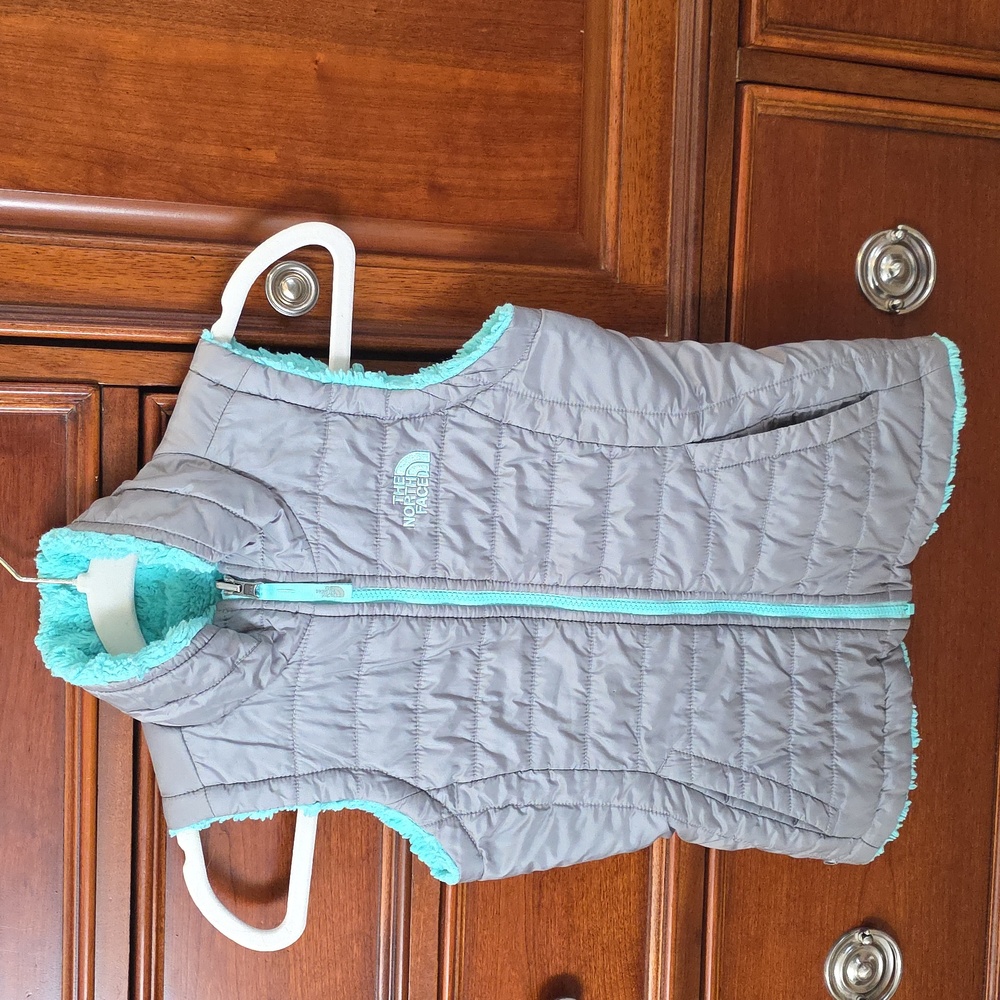 The North Face Gray Youth Vest